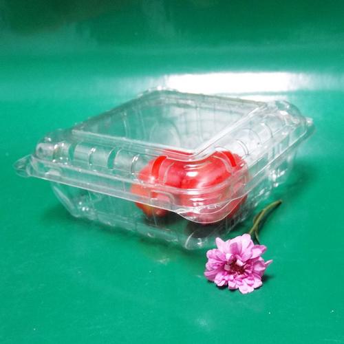 廠家直銷 一次性透明塑料盒批發 水果塑料盒 透明塑料食品包裝盒